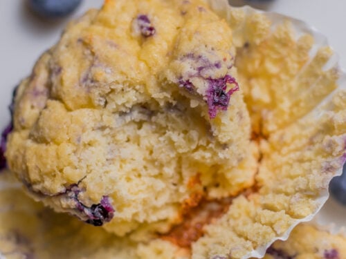 Coconut Flour Blueberry Muffins