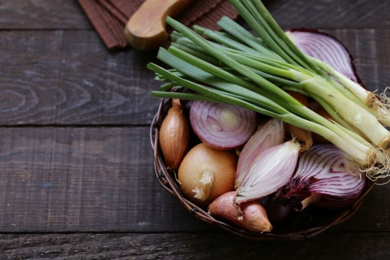 bowl with onions to use for keto recipes