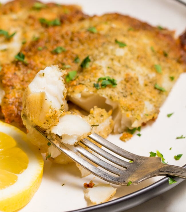Parmesan Crusted Tilapia Ready In 30 Minutes