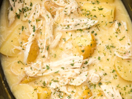 Crockpot parmesan garlic chicken