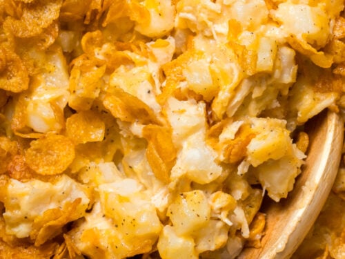 chicken hashbrown casserole