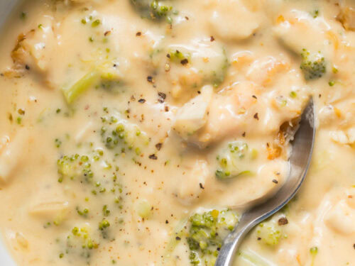 Chicken broccoli cheddar soup
