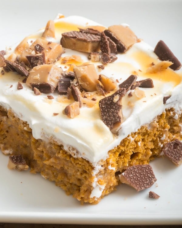 pumpkin better than sex cake