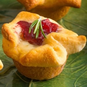 brie cheese bites